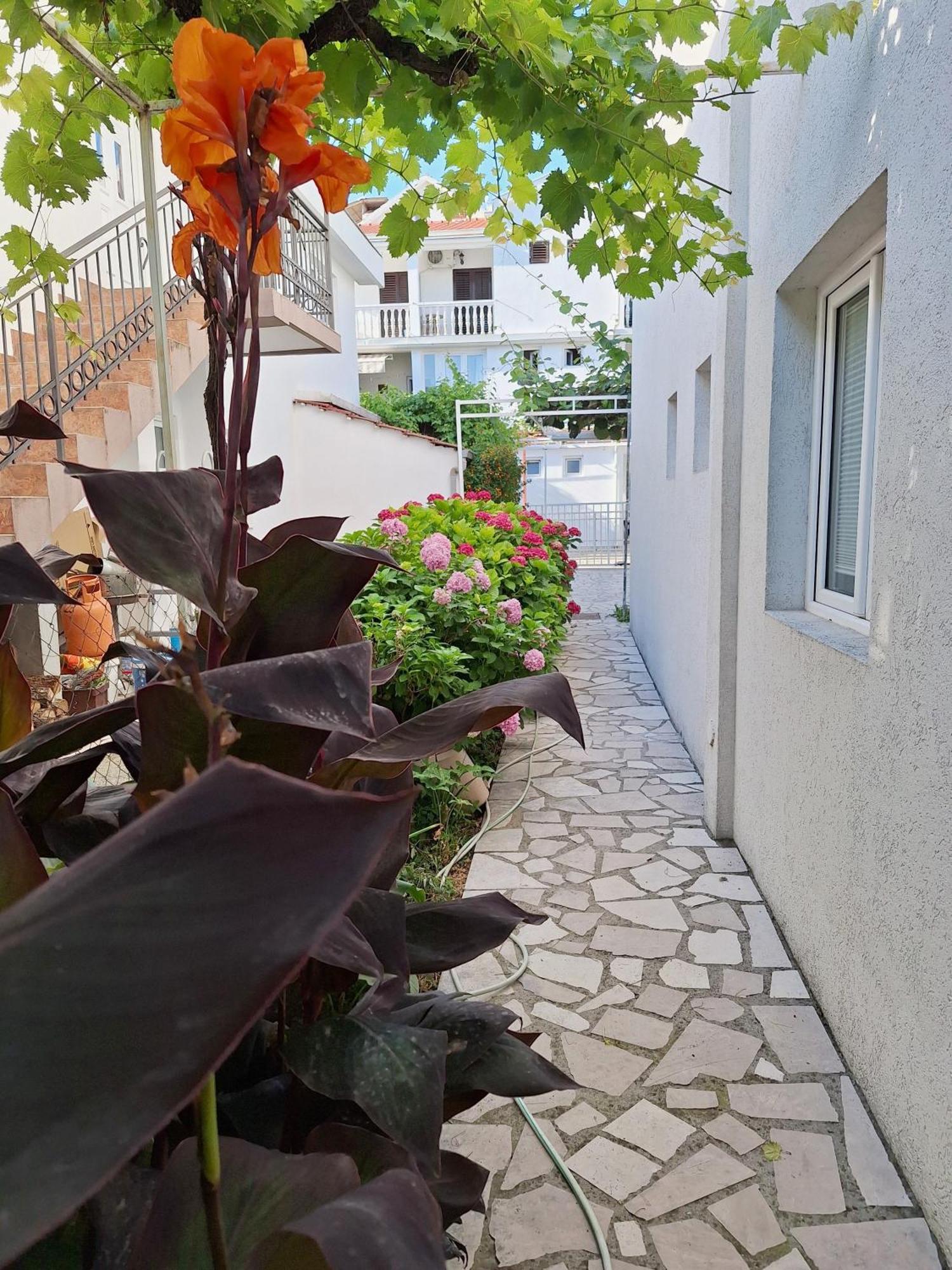 Apartmani Hortenzija 布德瓦 外观 照片