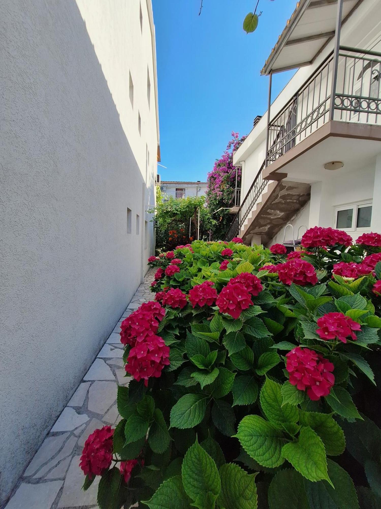 Apartmani Hortenzija 布德瓦 外观 照片