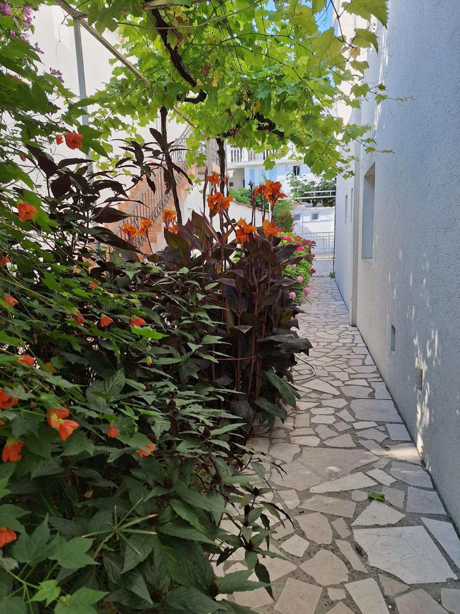 Apartmani Hortenzija 布德瓦 外观 照片