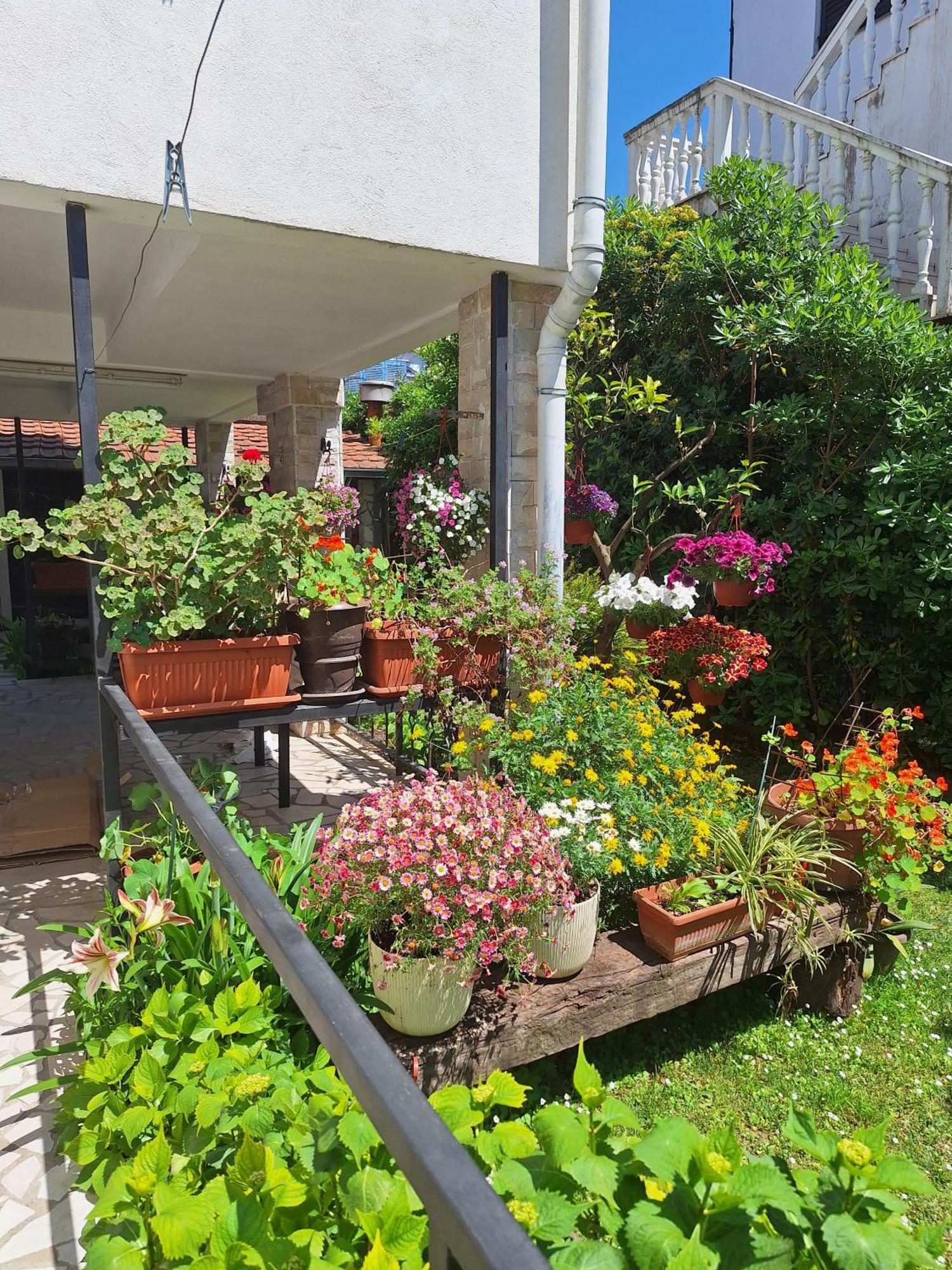 Apartmani Hortenzija 布德瓦 外观 照片
